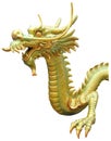 Golden dragon head statue isolated on white background Royalty Free Stock Photo