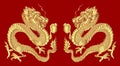 Golden Dragon on red background for Chinese New Year.Gold Chinese Dragon vector.