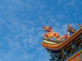 Golden Dragon sculpture on the roof with beautiful color and blue sky background Royalty Free Stock Photo