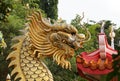 Golden dragon statue Royalty Free Stock Photo