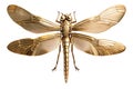 A Golden dragonfly as a brooch. Isolated on transparent background. Generative AI.