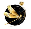 Golden dragonfly in black circle Royalty Free Stock Photo