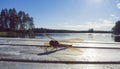 Golden dragonfly sitting on a jetty, lake in background.