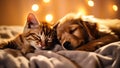 Golden Dreams: A Whimsical Portrait of Kitty Kittens Sleeping To