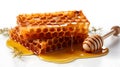 Golden Drizzle: Close-Up of Honeycomb and Wooden Dipper on a White Background