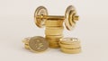 Golden dumbbell withe ruble coin isolated on a white background, Business concept.