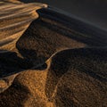 Golden Dune Ridge in Dramatic Light Royalty Free Stock Photo