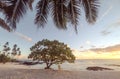 Golden dusk sun light at sunset on beautiful empty tropical beach with deckchair and palm tree fronds at Lefaga, Matautu, Upolu I Royalty Free Stock Photo