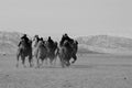 Golden eagle festival in winter snowy Mongolia Royalty Free Stock Photo