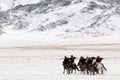 Golden eagle festival in winter snowy Mongolia
