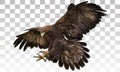 Golden eagle landing hand draw and paint on grey white checkered background vector Royalty Free Stock Photo