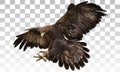 Golden eagle landing hand draw and paint on grey white checkered background vector