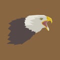 Golden Eagle portrait Royalty Free Stock Photo