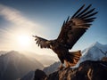 Golden Eagle\'s Ascent: Majesty in the Mountain Skies