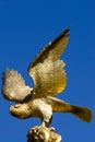Golden Eagle Statue Royalty Free Stock Photo