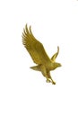 Golden eagle statue with big expanded wings Royalty Free Stock Photo