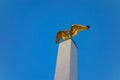 Golden eagle on the top of mast in front of Schonbrunn castle in Vienna, Austria Royalty Free Stock Photo