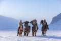 Golden eagle during the winter Mongolia local men riding on horses around the mountains covered with snow Royalty Free Stock Photo