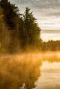Golden Early Morning Sunlight Burns Through The River`s Mist