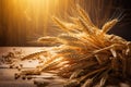 golden ears of wheat with sheaves of hay in the background Royalty Free Stock Photo