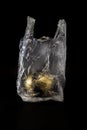 The golden earth in plastic bag concept