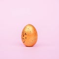 Golden easter egg with black spots on a pink background squared.