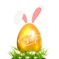 Golden Easter egg in grass with rabbit ears on white background Royalty Free Stock Photo