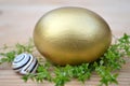 Golden Easter egg, grass and snail Royalty Free Stock Photo
