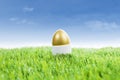 Golden easter egg on grass Royalty Free Stock Photo