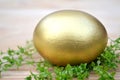 Golden Easter egg and grass Royalty Free Stock Photo