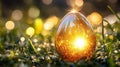 Golden Easter Egg In Morning Sunlight Grass Royalty Free Stock Photo