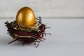 Golden easter egg in the nest on white rustic background Royalty Free Stock Photo