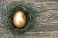 Golden easter egg in nest on wooden background