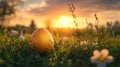 Golden Easter egg nestled in sunrise grass Royalty Free Stock Photo