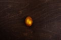 Golden easter egg on wood Royalty Free Stock Photo