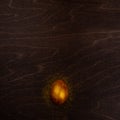 Golden easter egg on wood Royalty Free Stock Photo