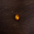 Golden easter egg on wood Royalty Free Stock Photo