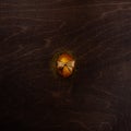 Golden easter egg on wood Royalty Free Stock Photo