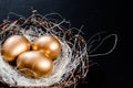 Golden Easter Eggs in birds Nest over rustic background. Easter Holiday concept abstract background copyspace Royalty Free Stock Photo