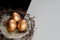 Golden Easter Eggs in birds Nest on black and white abstract background. Royalty Free Stock Photo