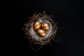 Golden Easter Eggs in birds Nest over rustic background. Easter Holiday concept abstract background copyspace Royalty Free Stock Photo
