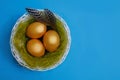 Golden easter eggs lie in a nest with quail feathers on a blue background, easter composition Royalty Free Stock Photo