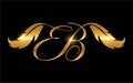 Golden EB Monogram Logo with feather Royalty Free Stock Photo