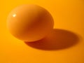 Golden Egg Royalty Free Stock Photo