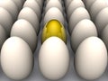 Golden egg Royalty Free Stock Photo