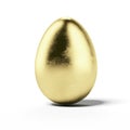 Golden egg Royalty Free Stock Photo