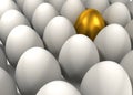 Golden egg Royalty Free Stock Photo