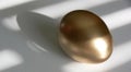 Golden Egg Royalty Free Stock Photo