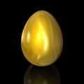 Golden egg Royalty Free Stock Photo