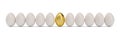 Golden egg around white eggs in row. Golden egg closeup. Golden egg as a sign of wealth, luxury. Egg as a symbol of Royalty Free Stock Photo